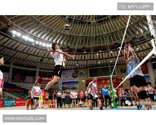 成都排球队阵地战体系解析与战术创新探讨