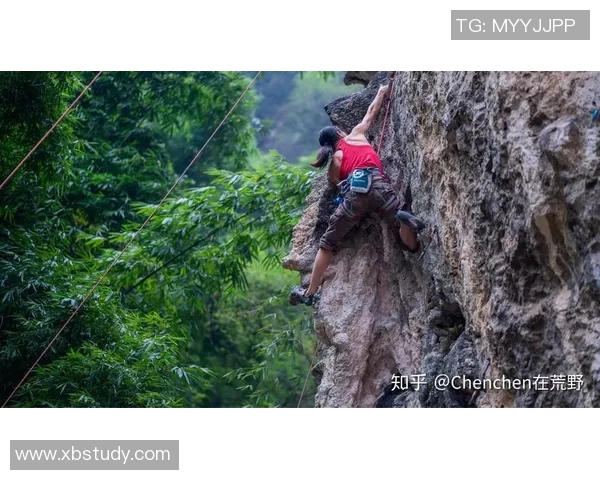 攀岩新手必看灵活性训练技巧与入门指南助你轻松上手