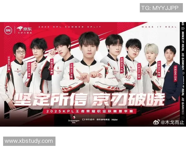 王者荣耀专题深入分析JDG战队的团队协作与默契配合策略