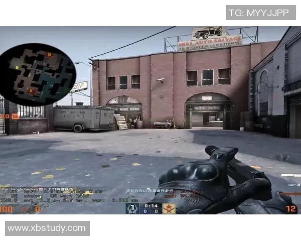 黄秀英专访：从新手到高手的CSGO成长之路与心路历程分享