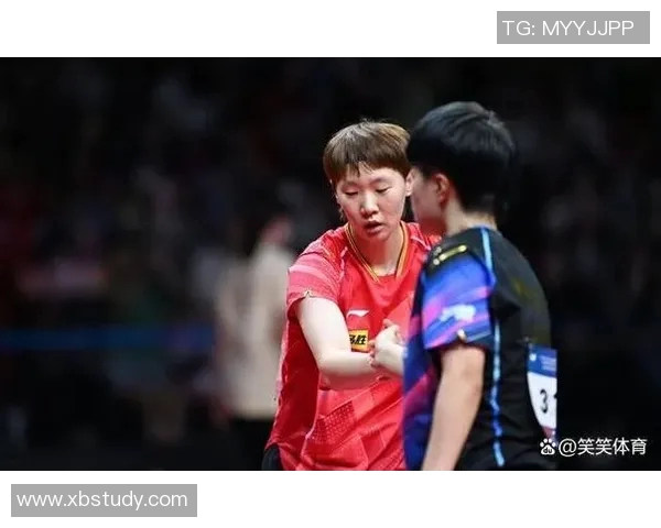 上海排球队战术解析与未来发展方向的深入探讨