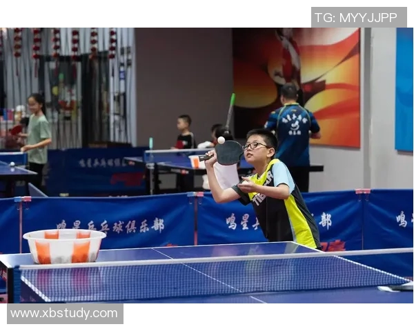 乒乓球的梦想与奋斗:上海乒乓球队成长历程的真实记录 乒乓球的梦想与奋斗:上海乒乓球队成长历程的真实记录