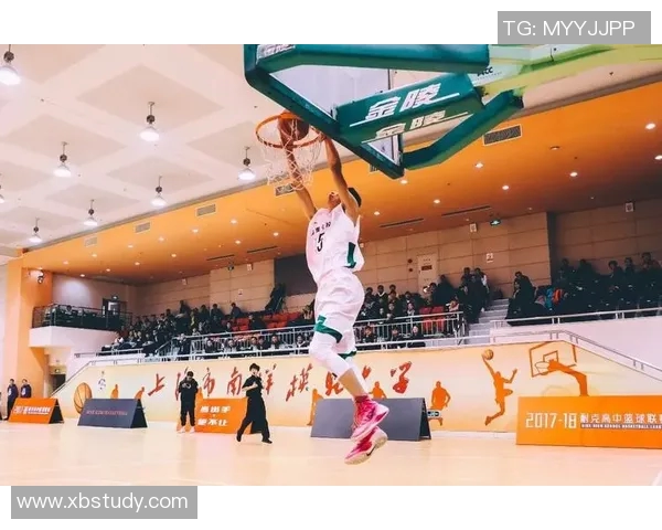 上海羽毛球队防守策略分析与比赛表现评估