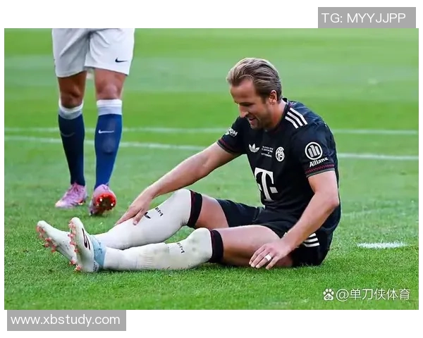 拜仁慕尼黑对阵热刺全场中文解说精彩回顾与分析