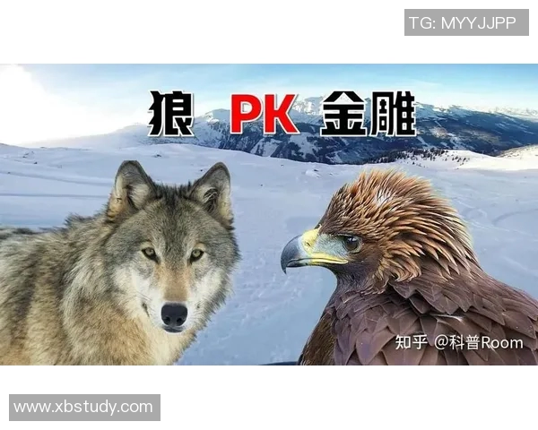 阿苏尔与墨美洲的激烈对决揭示足球战术与团队精神的完美结合