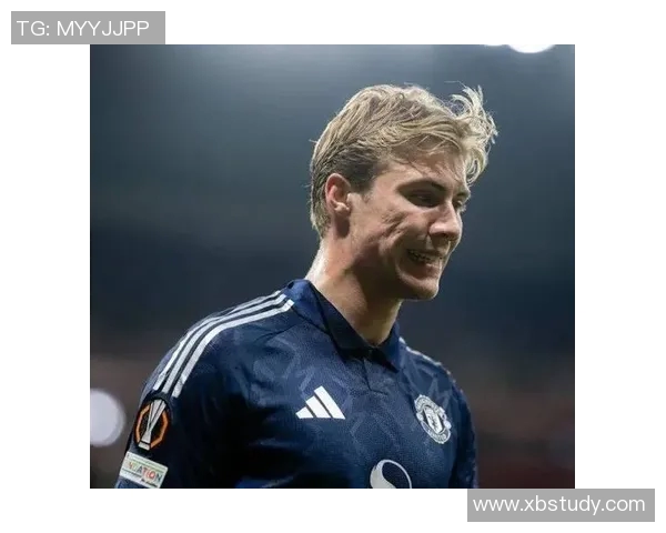 霍伊伦的传奇人生与时代变迁的深刻影响探索