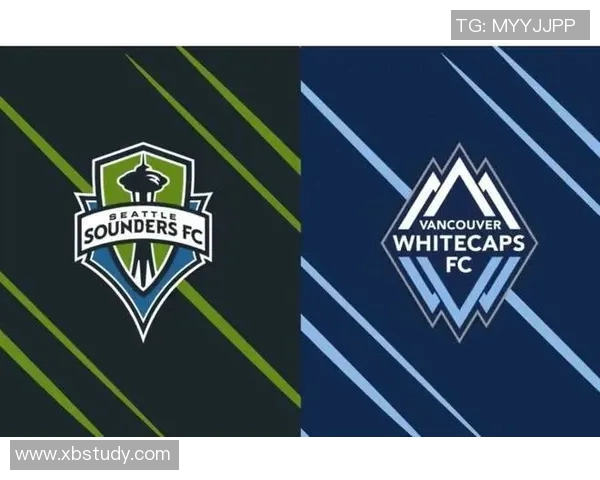 盐湖城与白帽的对决分析及未来发展趋势探讨