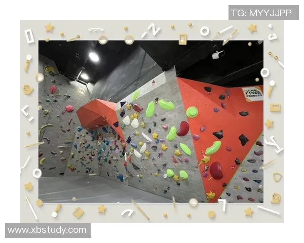 成都攀岩队区域防守体系的战术解析与实战应用研究MBA