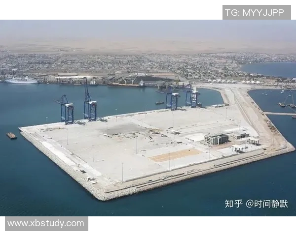 赖斯的外交智慧与全球战略影响力的深度解析与探讨